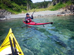 ���i�C���[�W