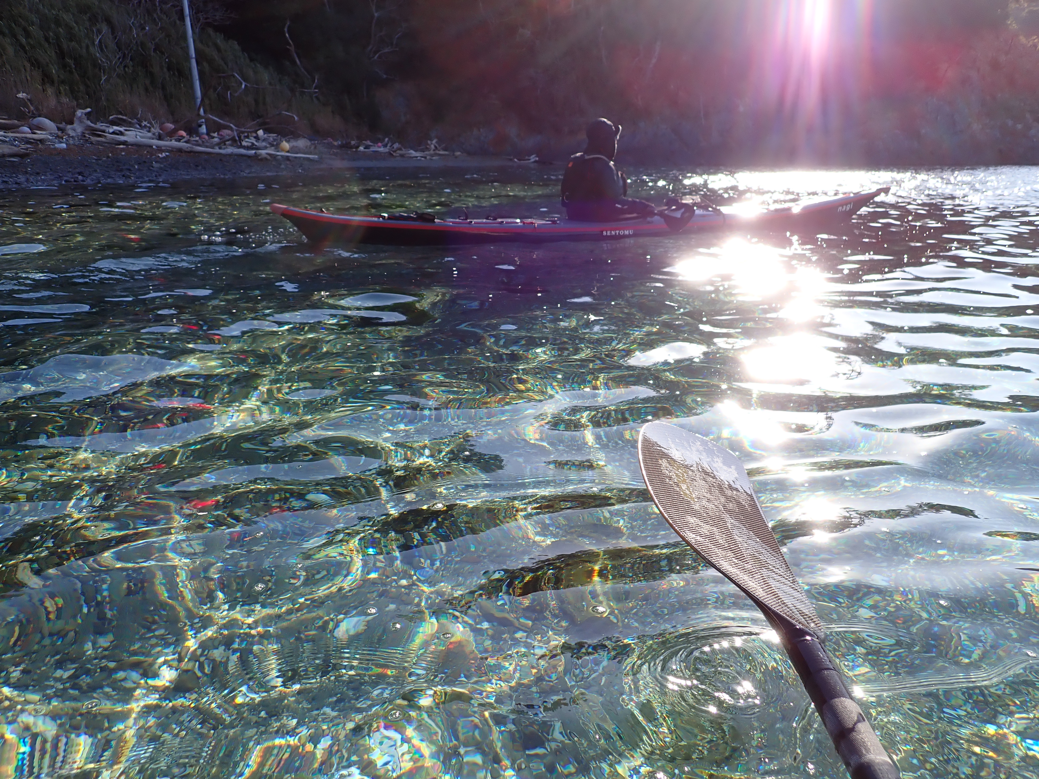 シーカヤックと澄んだ海、光の波模様が海底に映っています。